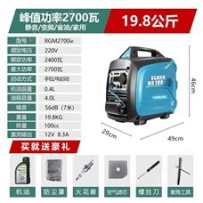 德國(guó)SADEN薩登2400W雷吉姆低噪音汽油發(fā)電機(jī)