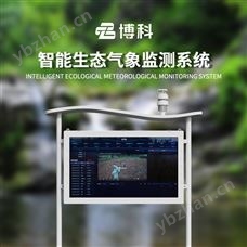 BK-FZ5空氣監(jiān)測系統(tǒng)負(fù)氧離子廠家