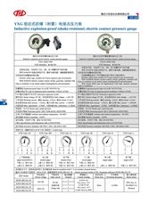 YXG 感應式防爆電接點壓力表