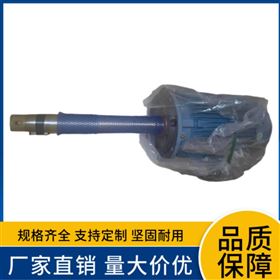 全ABB长轴电机300–600mm可定制