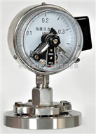 YTU-100S/Z 耐硫耐震压力表YTU-150S/Z