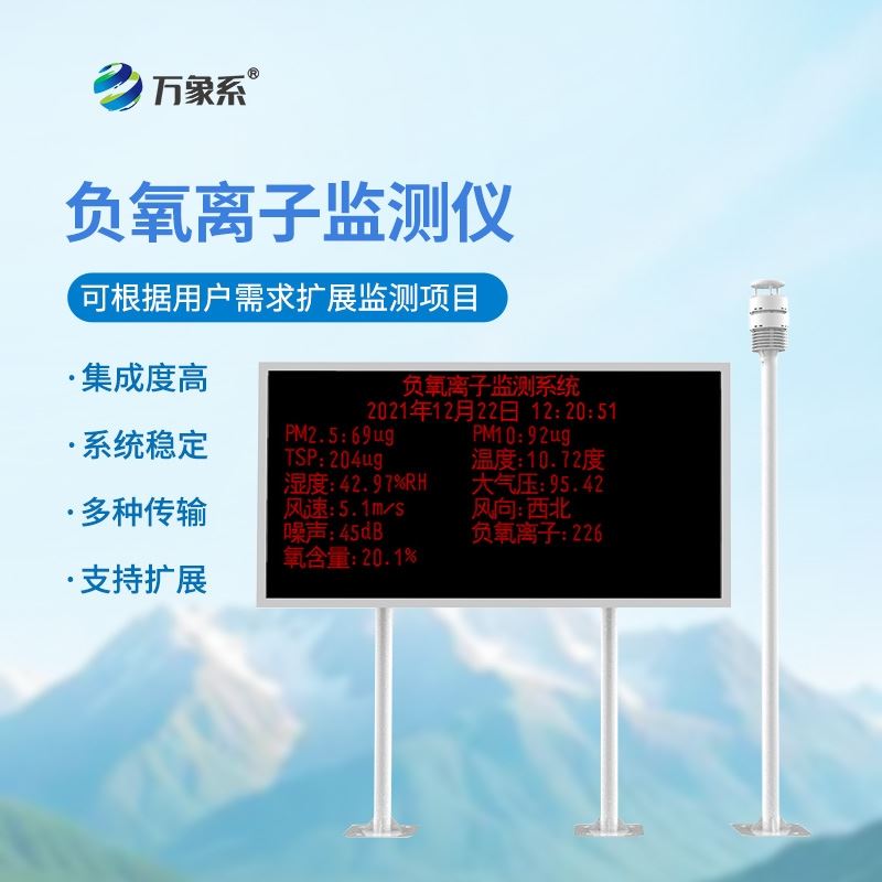 负离子监测系统