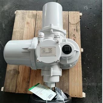DZW120多回轉(zhuǎn)智能調(diào)節(jié)型閥門電動(dòng)裝置380v