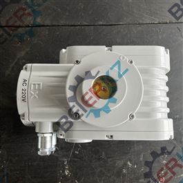 精小型電動(dòng)執(zhí)行器BR
