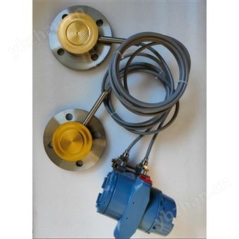 電容式雙法蘭差壓/液位變送器