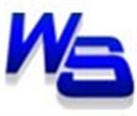 上海维晟仪器仪表有限公司