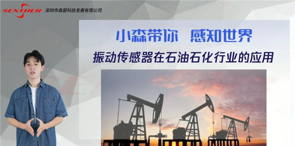 振動傳感器在石油行業(yè)的應用