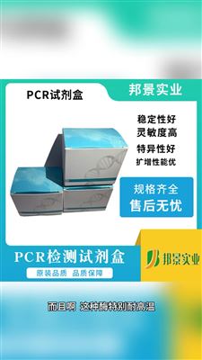 PCR 试剂盒中酶制剂的作用是什么