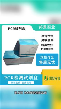 PCR 试剂盒中酶制剂的作用是什么