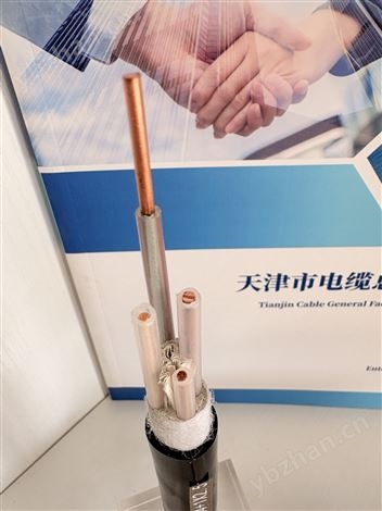 MYJV3*6+1*6 矿用电力电缆