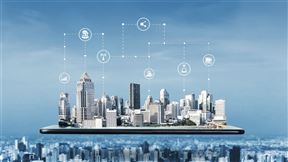 ������ӡ������е��ҵ����������������2025��2026�꣩��