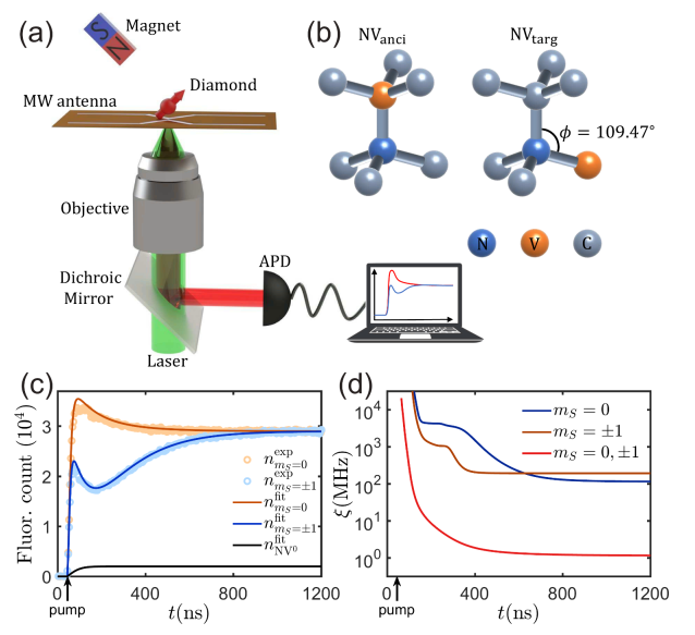 合肥工业大学在量子精密测量研究中取得系列新进展
