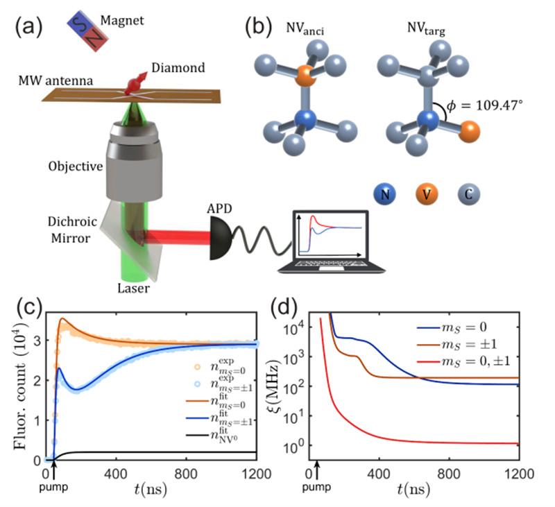 合肥工业大学在量子精密测量研究中取得系列新进展