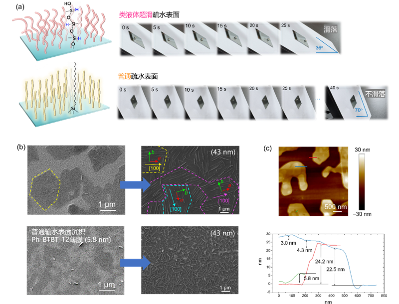上海光机所提出类液体超滑介电表面新策略助力提升光电薄膜器件性能