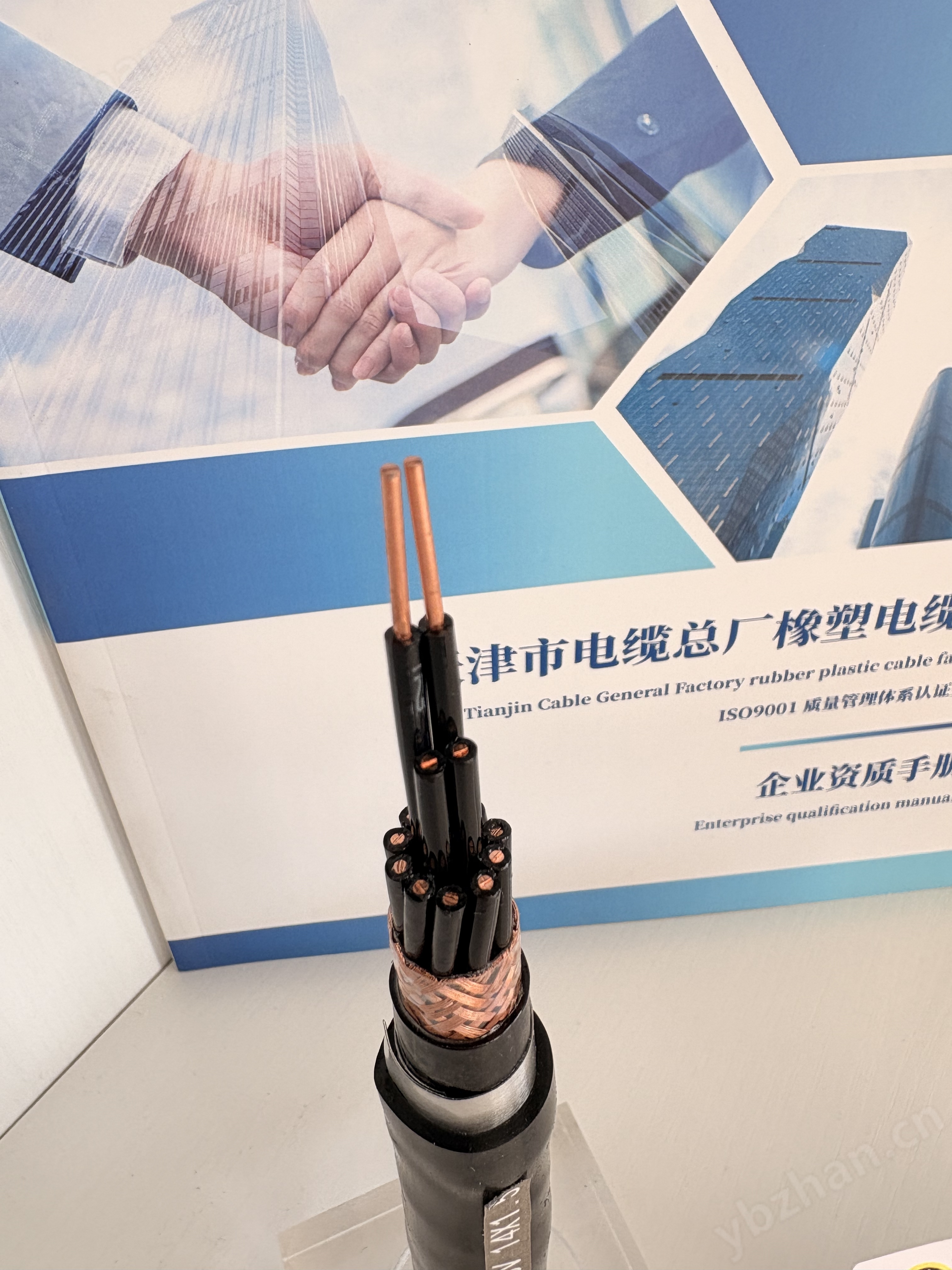 钢带铠装控制电缆KVVP2-22