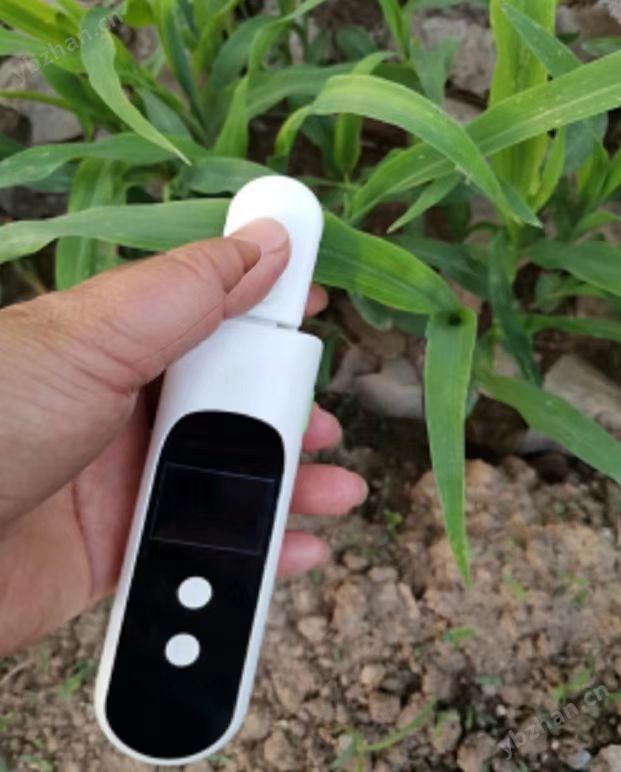 DJ-0354植物光合色素测量仪