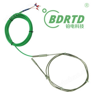 发电机轴承瓦测温专用铂电阻
