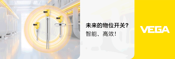 威格（中国）仪表有限公司