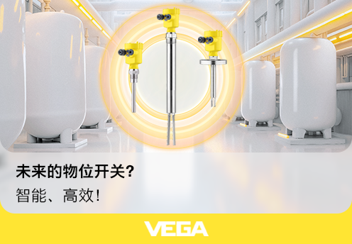 威格（中国）仪表有限公司