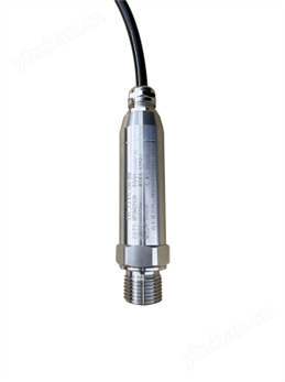 RPP20壓力變送器