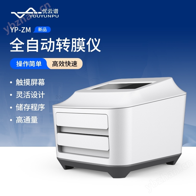 蛋白轉(zhuǎn)膜儀