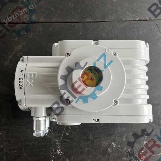 精小型电动执行器BR