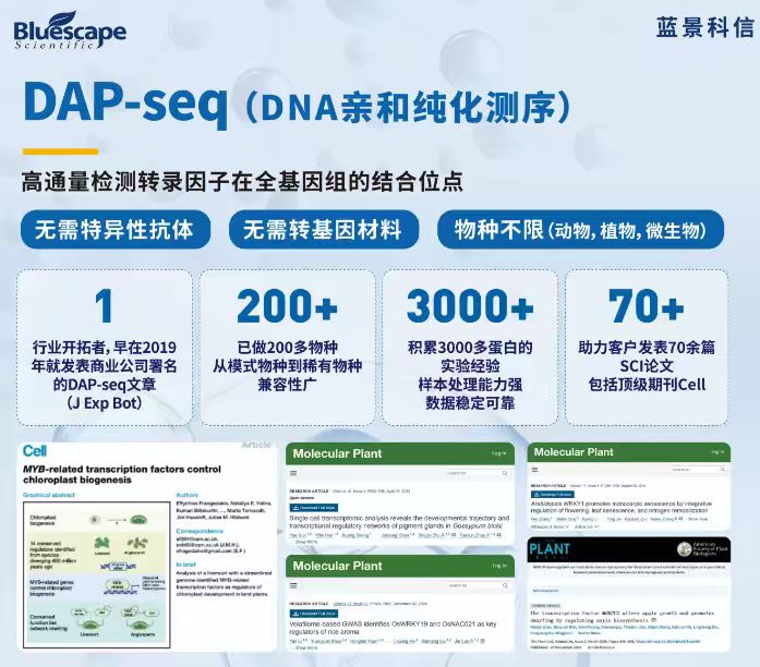 平台发布DAP文章最后附图.jpg DAP-seq助力揭示杨树次生维管系统发育遗传调控机制