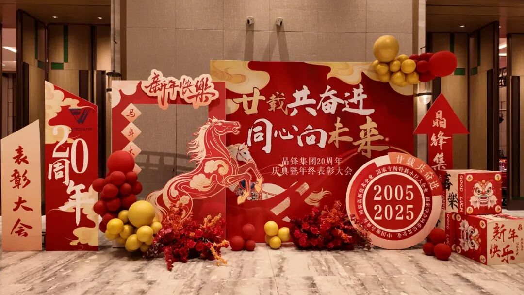 廿载共奋进,同心向未来2025年度表彰大会圆满举行