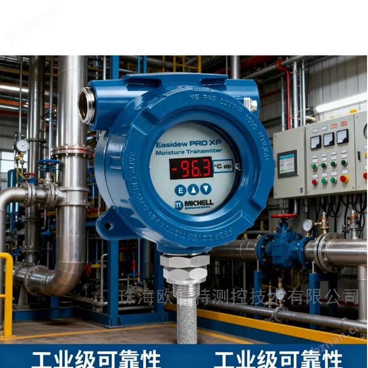 危险环境气体露点监测 EA-XP-AABAAAB 设备