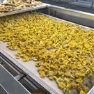 菊花茶微波干燥殺菌機
