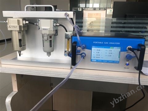 煤氣化專用便攜式熱值分析儀
