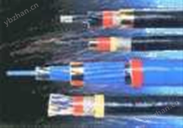 電子計(jì)算機(jī)用屏蔽電纜 